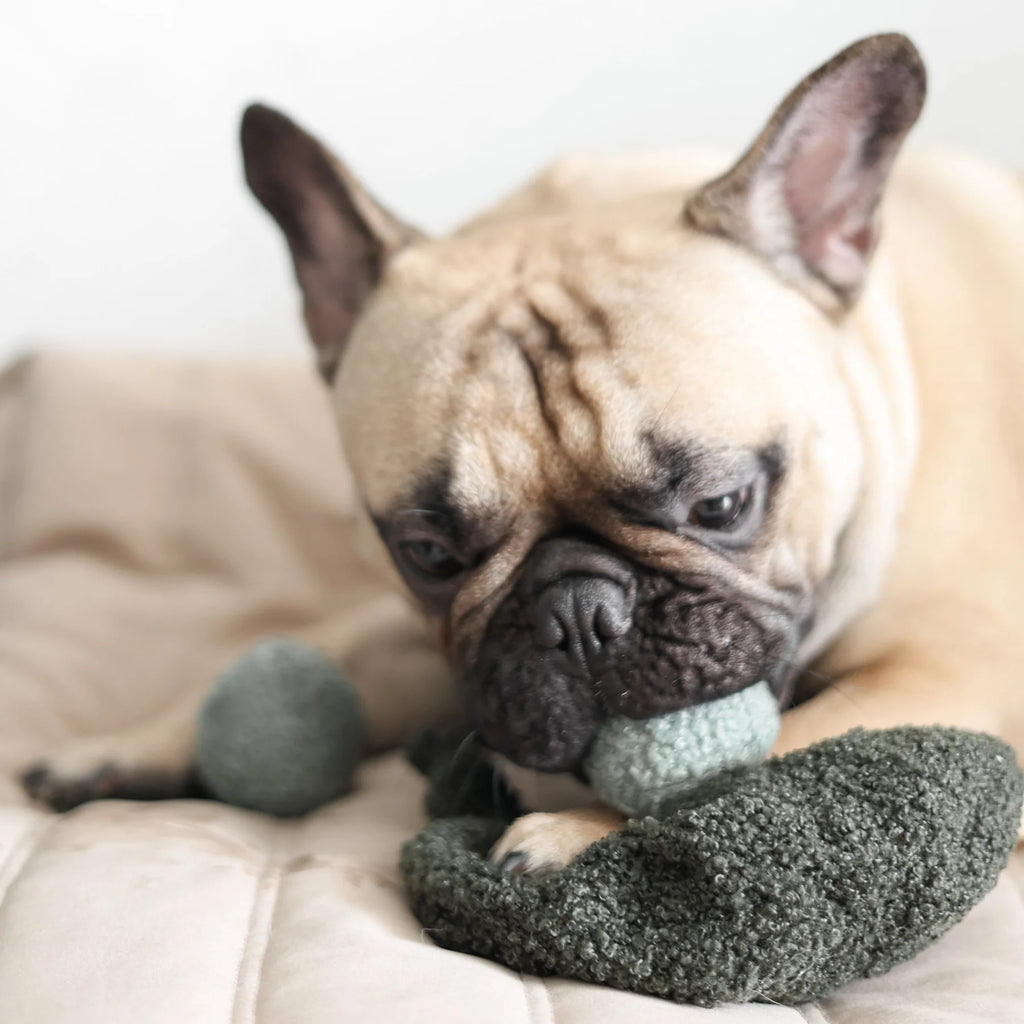 Пошукова іграшка PEA POP lambwolf collective