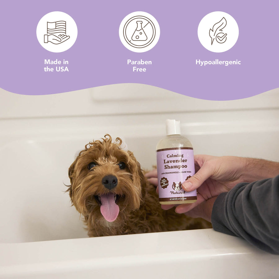 Заспокійливий шампунь з лавандою Calming Lavender Shampoo Natural Dog Company 355 мл