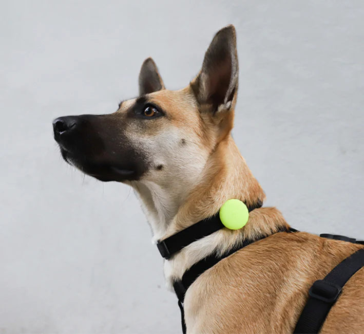 Холдер для AirTag Lime Zee.Dog