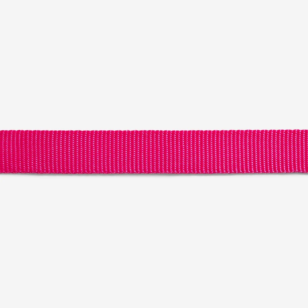 Нашийник Pink LED Zee.Dog