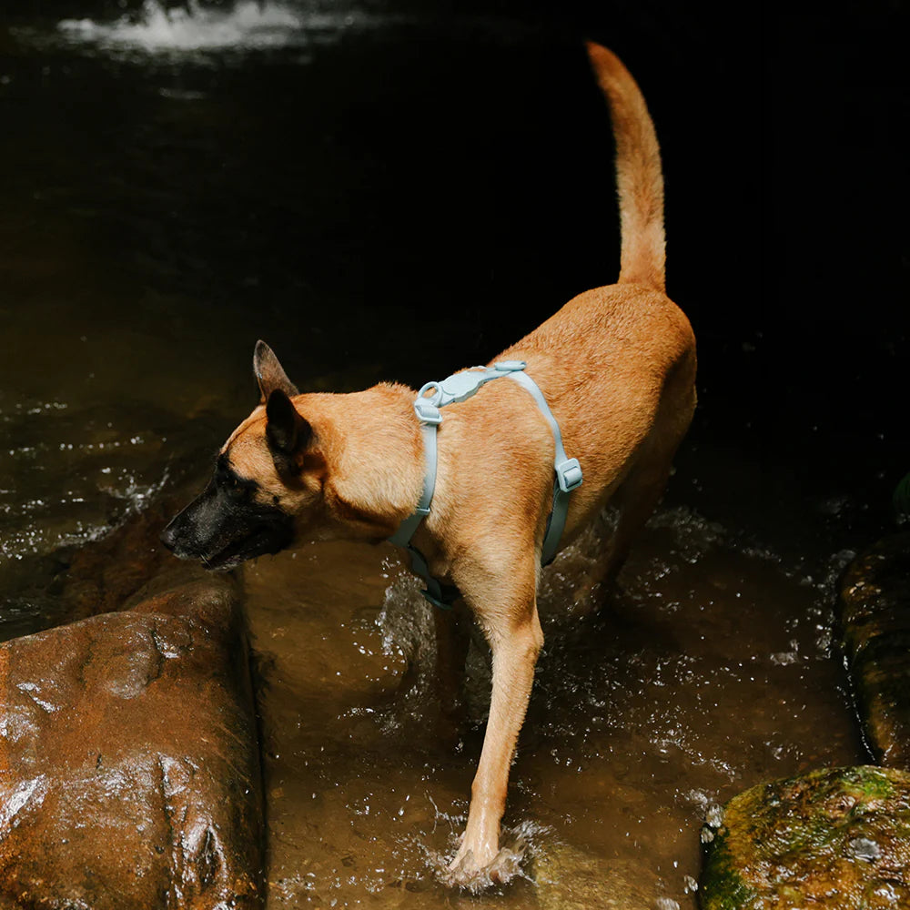 Шлейка водонепроникна Neopro Cloudy Zee.Dog