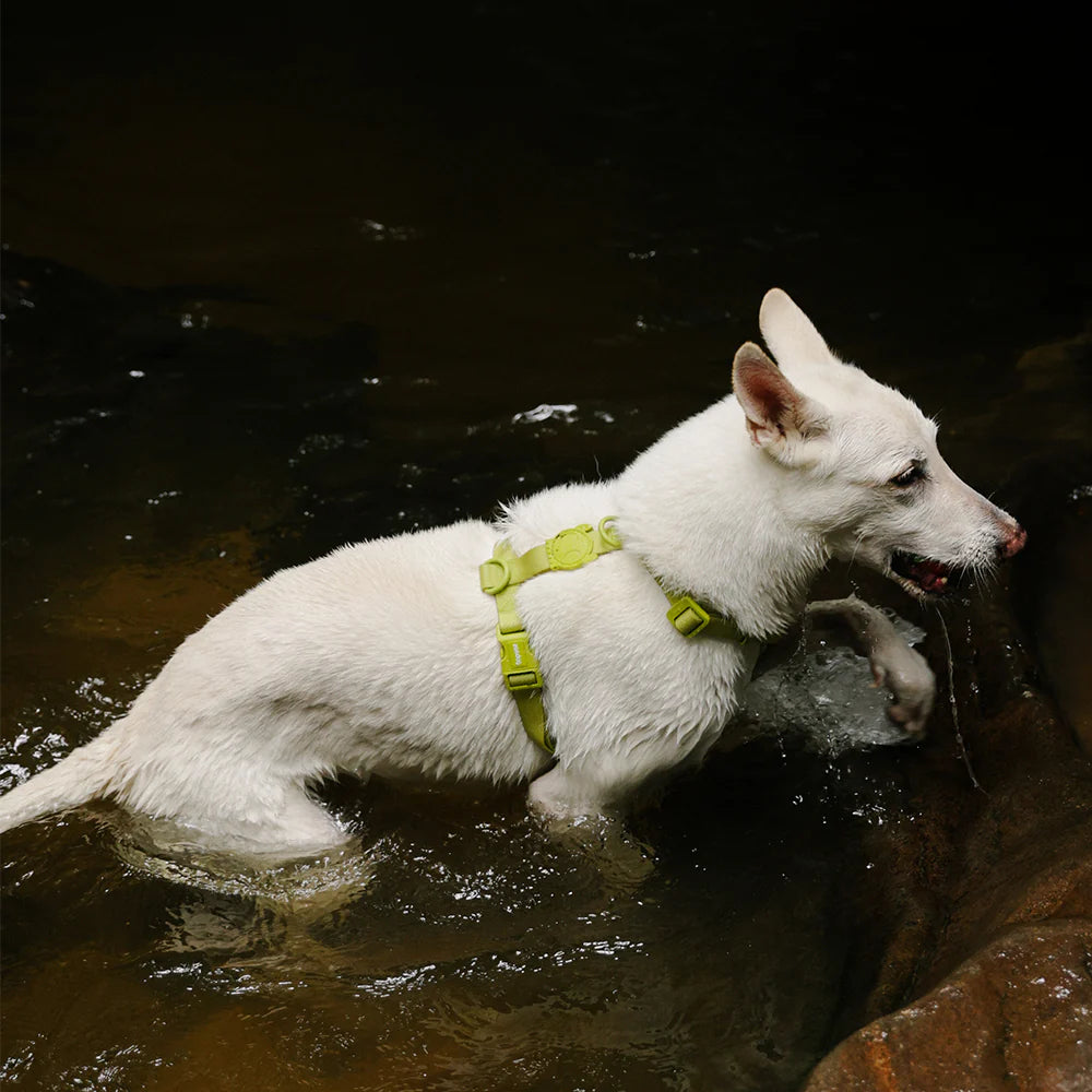 Шлейка водонепроникна Neopro Matcha Zee.Dog