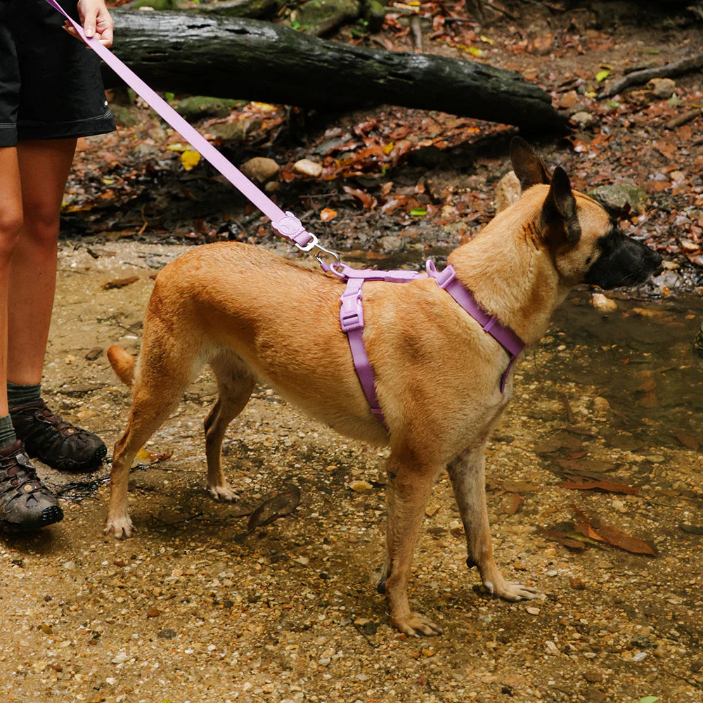Шлейка водонепроникна Neopro Ultra Violet Zee.Dog